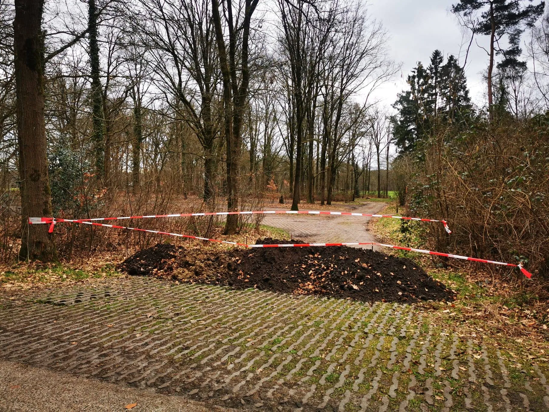 644558721_1339676454864662_141780503261782667_n