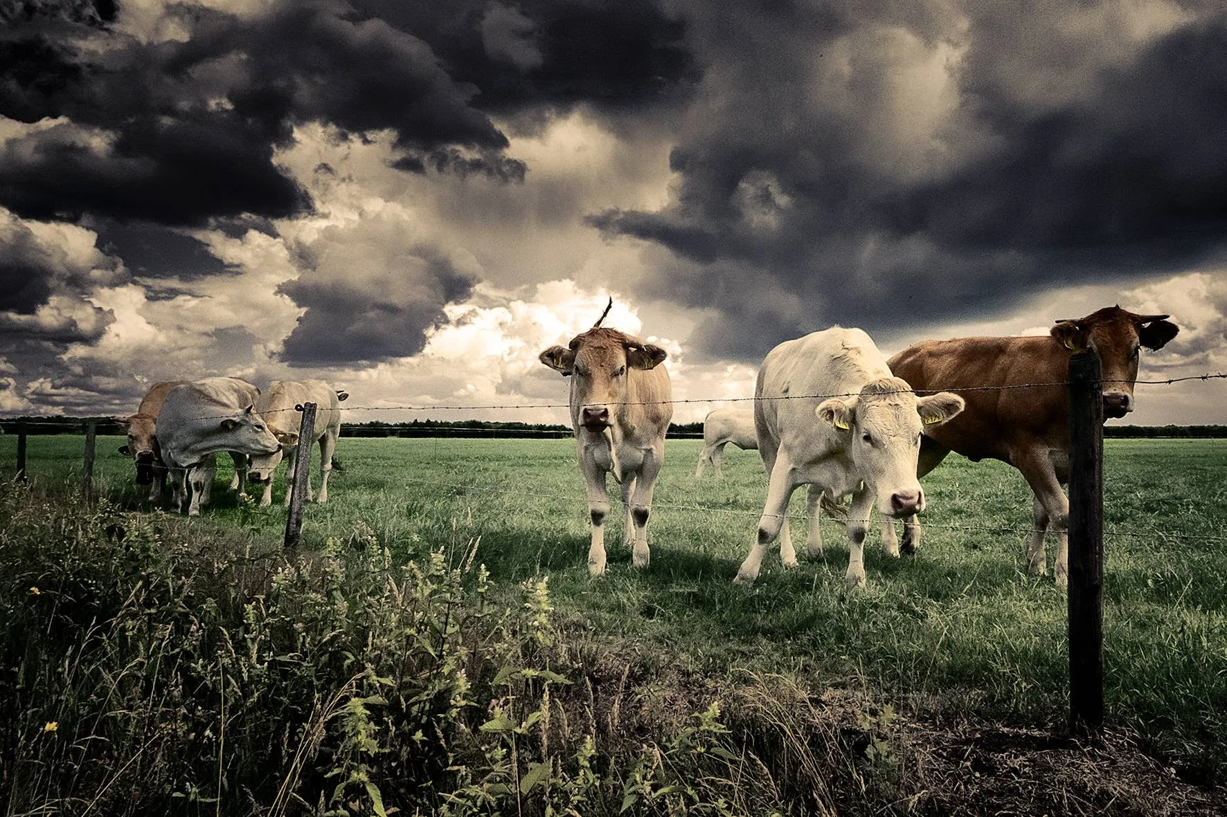 2020_26_juli_zonnenbergweg_P1140118-3