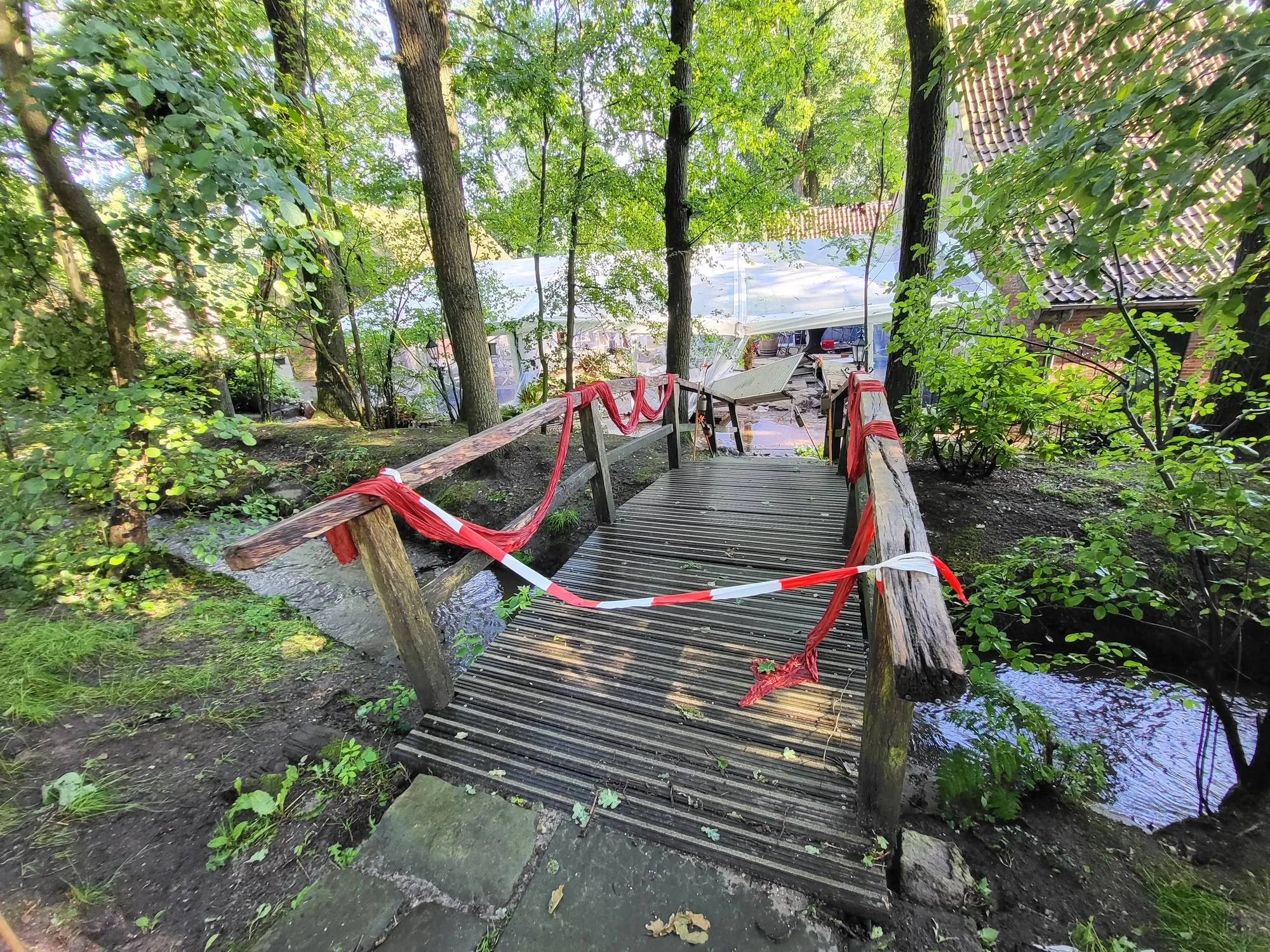 image8 (1)