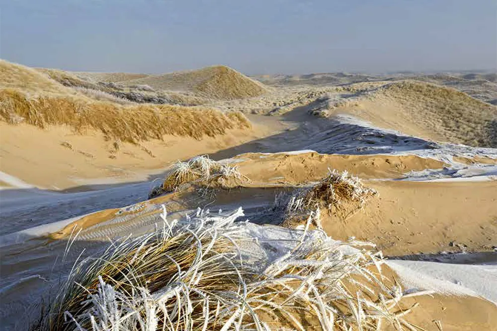 01 cover duin 4 2020 uitsnede