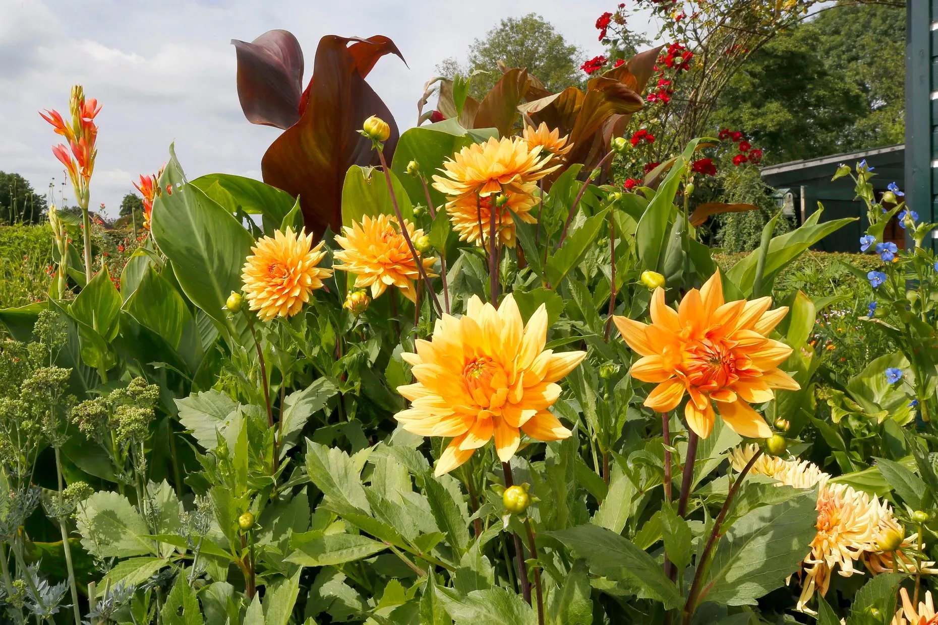 109689747 2665266873712206 3487075976556490329 o 1