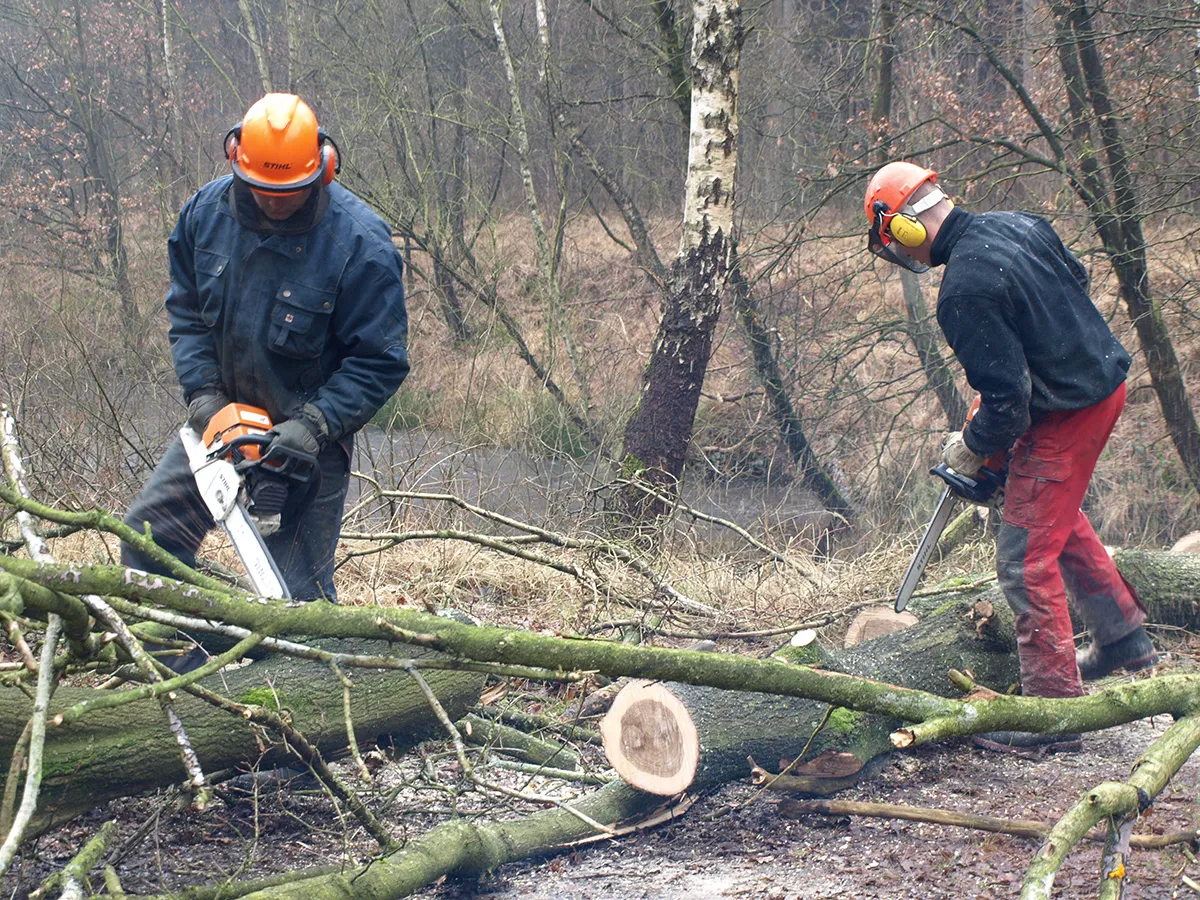 1220 7585706d3254fe0e74ecc9bcba7ae609