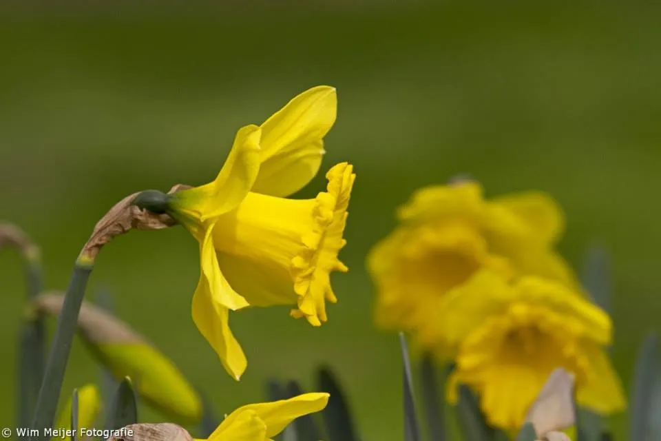 19628 999447490067203 7989752989736875337 n