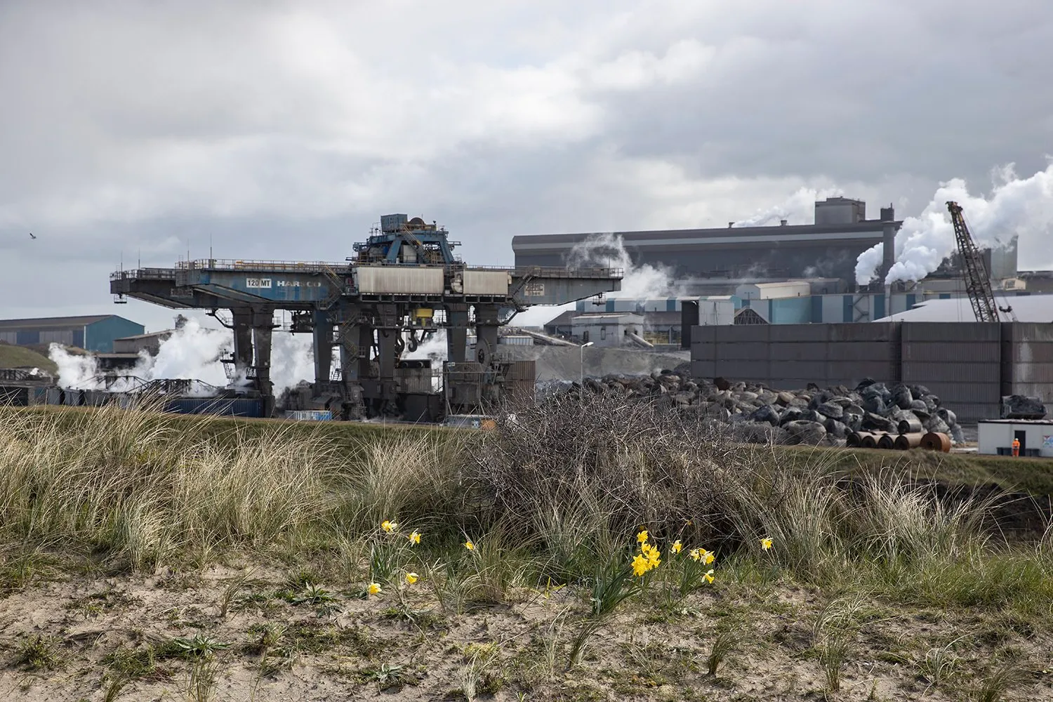 3z1a0255 harsco lente wim meijer fotografie