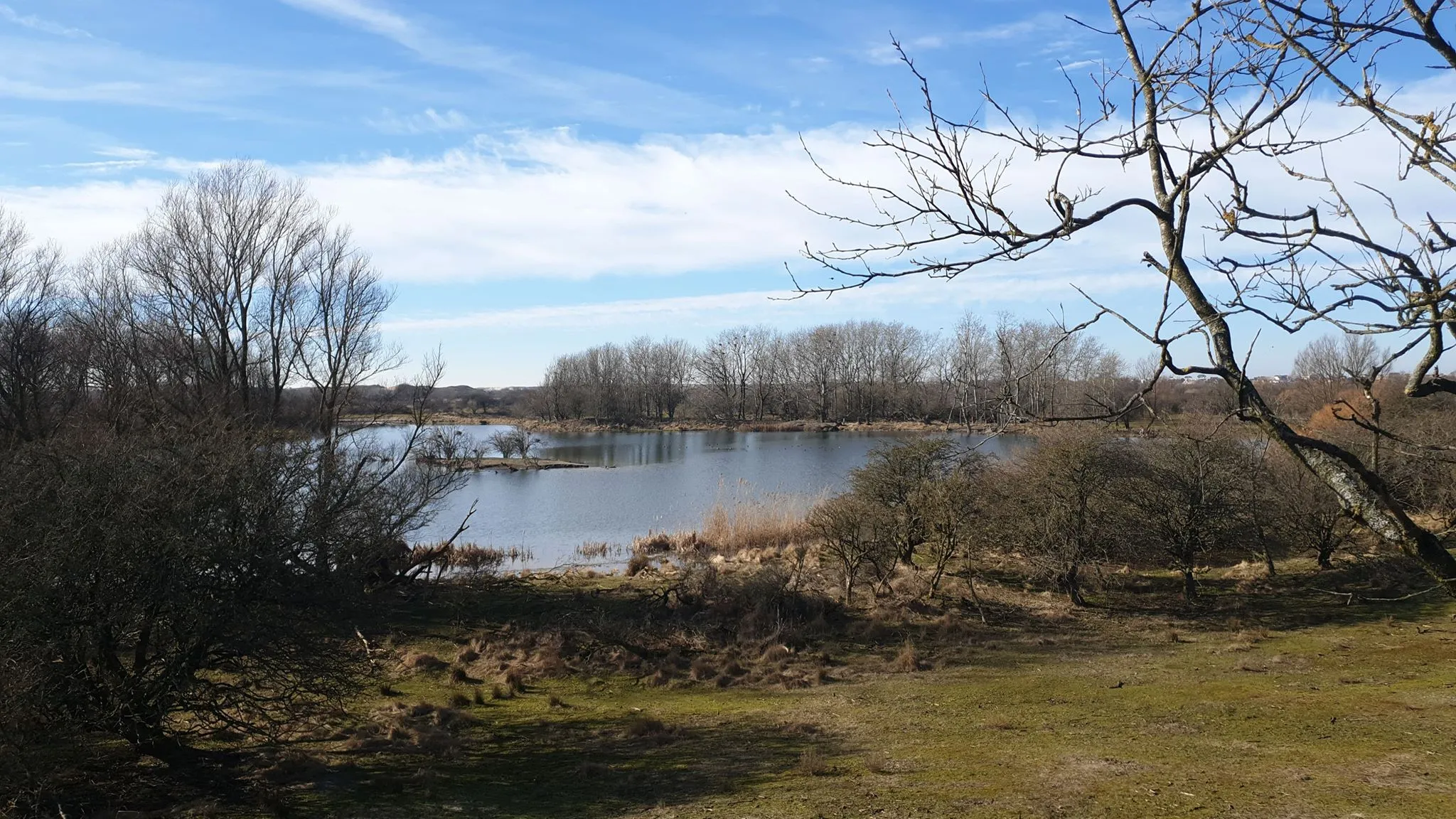 53453791 1235114599960427 2167021342560354304 n