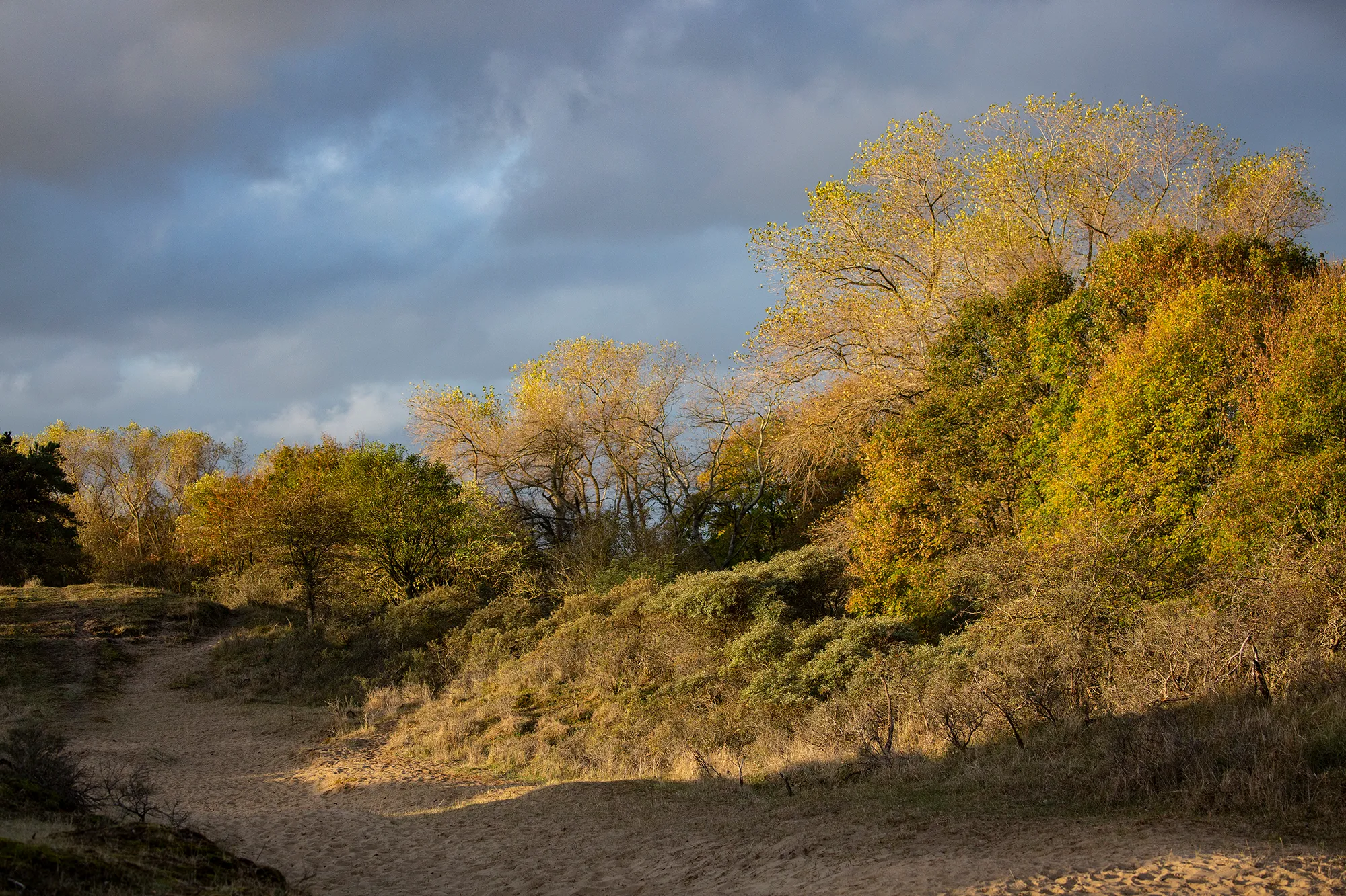 5i5a9553 wim meijer fotografie