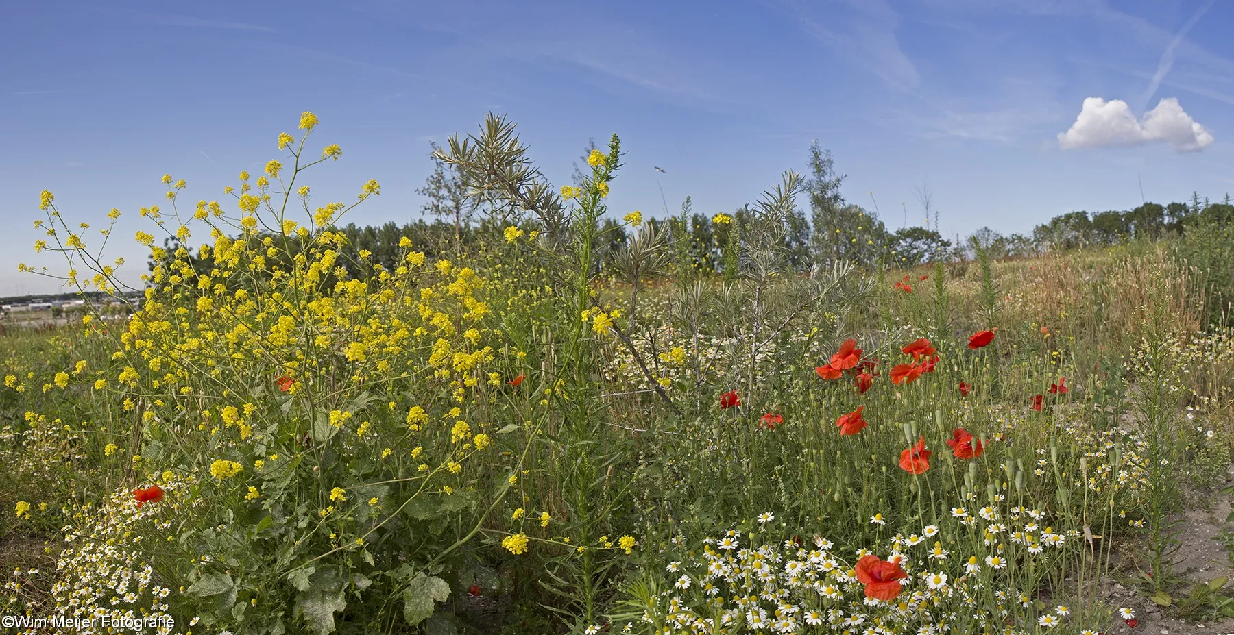 aagtenpark panorama8