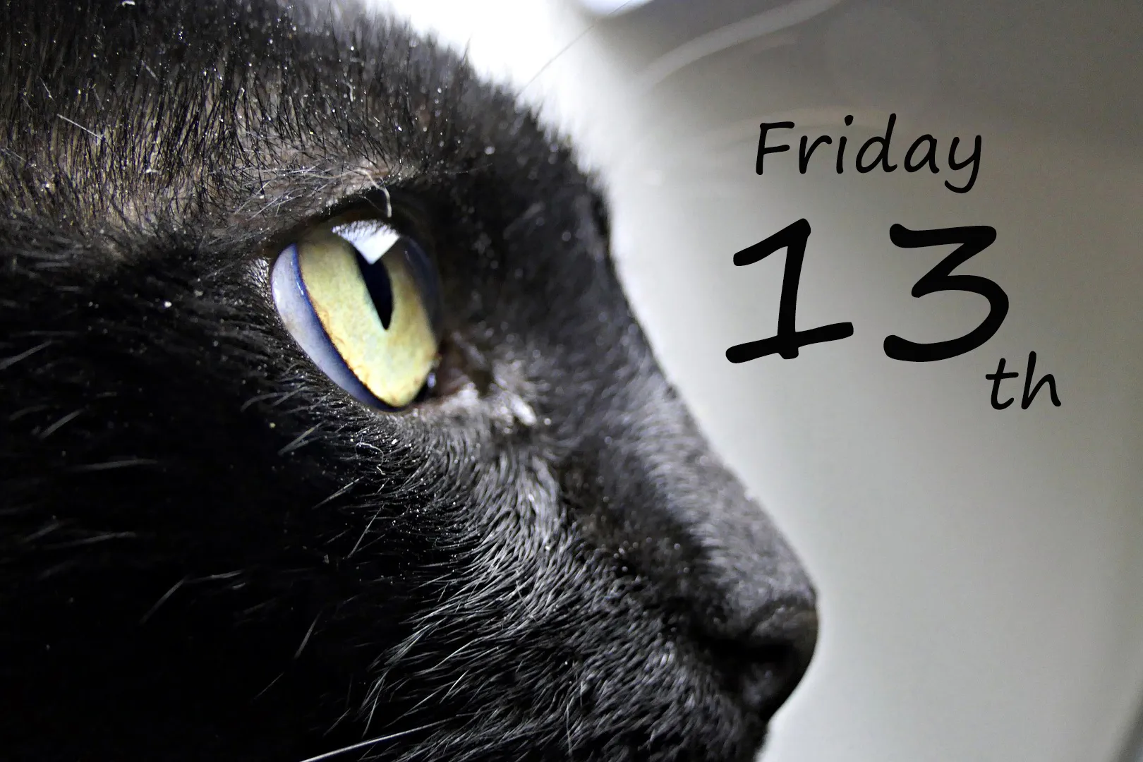 black cat 3840962 1920 black