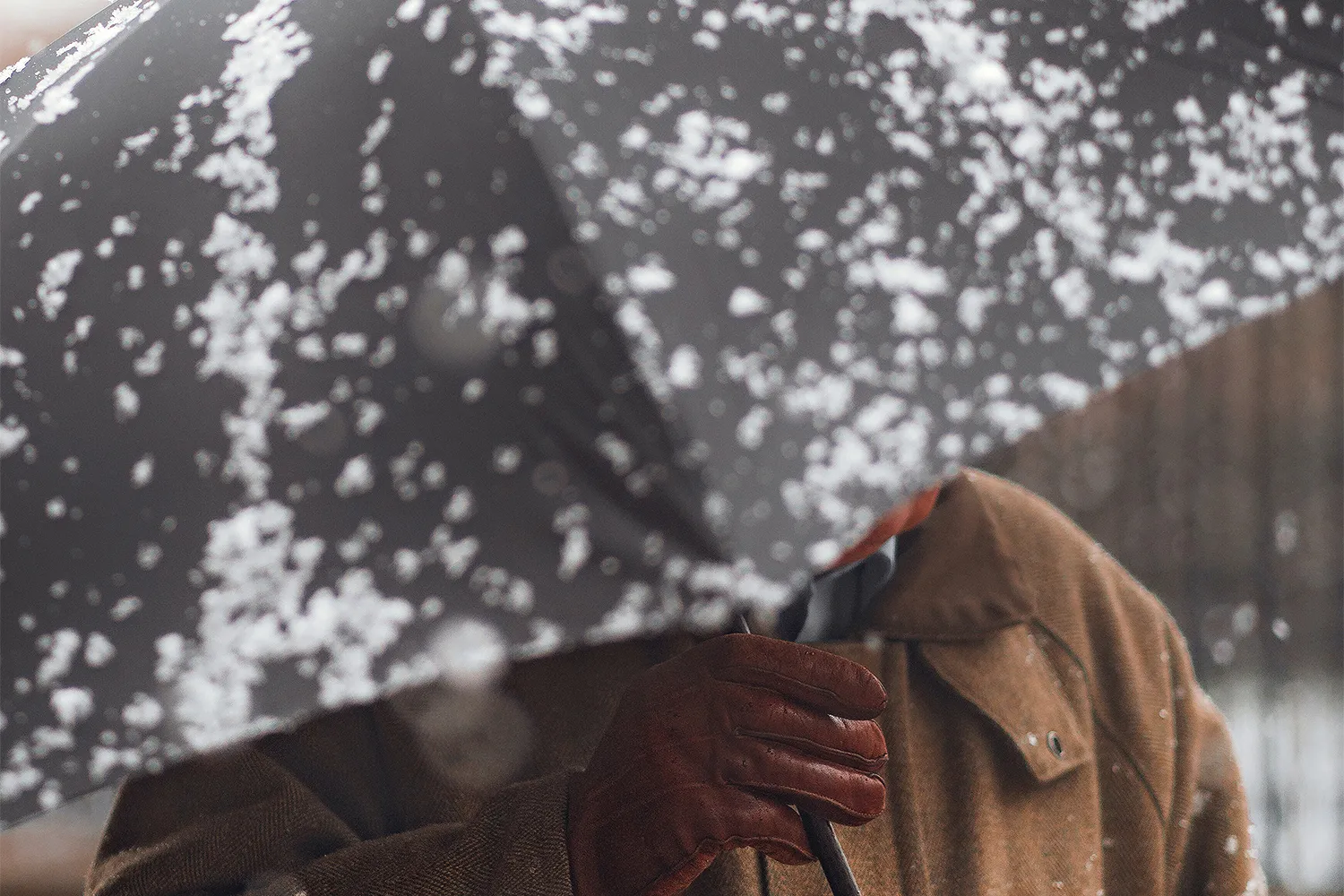 craig whitehead zrnip12mci8 unsplash