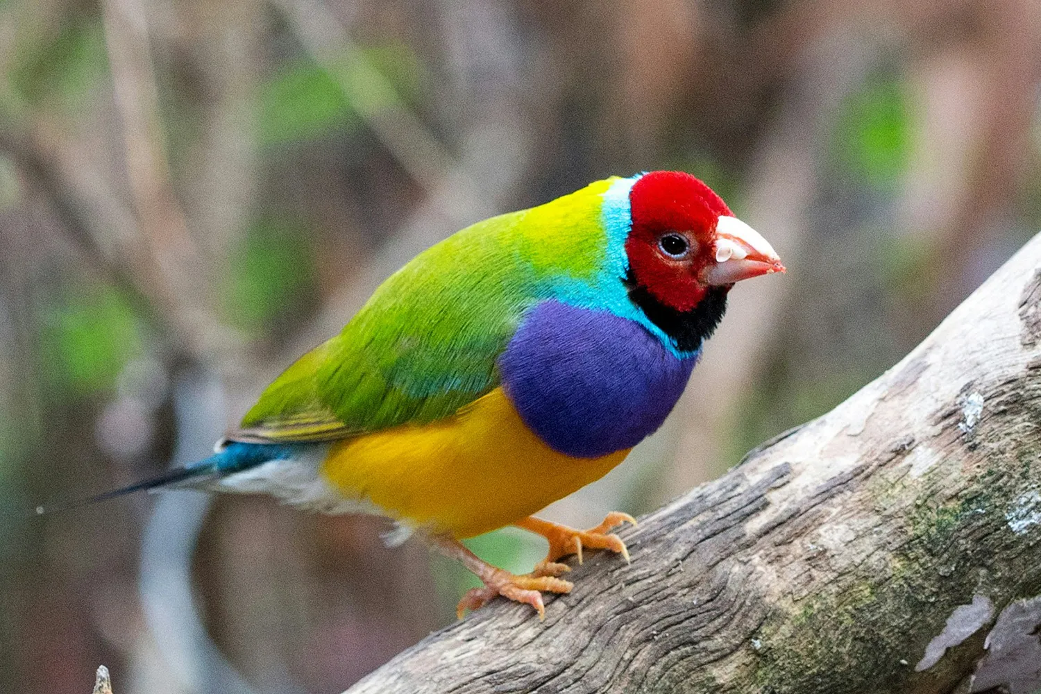 david clode 3yemfxybgu8 unsplash kopieren