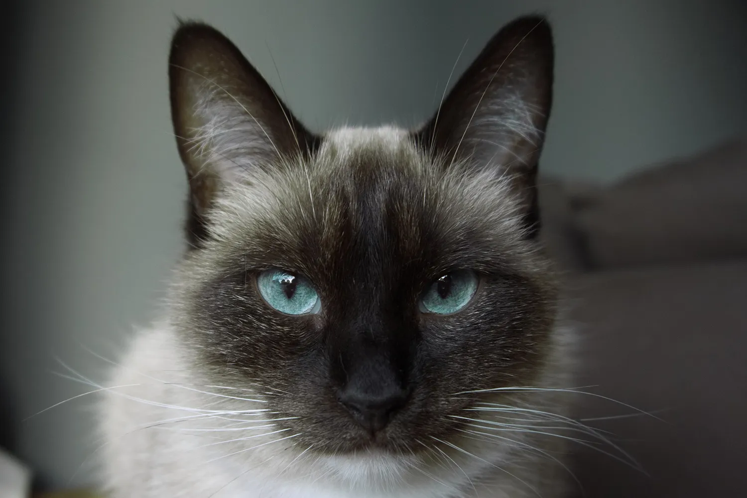 dimitry kooijmans 2erhp71tkry unsplash