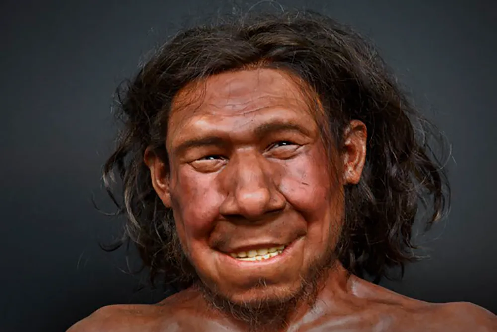 doggerland verdwenen wereld in de noordzee 33 krijn