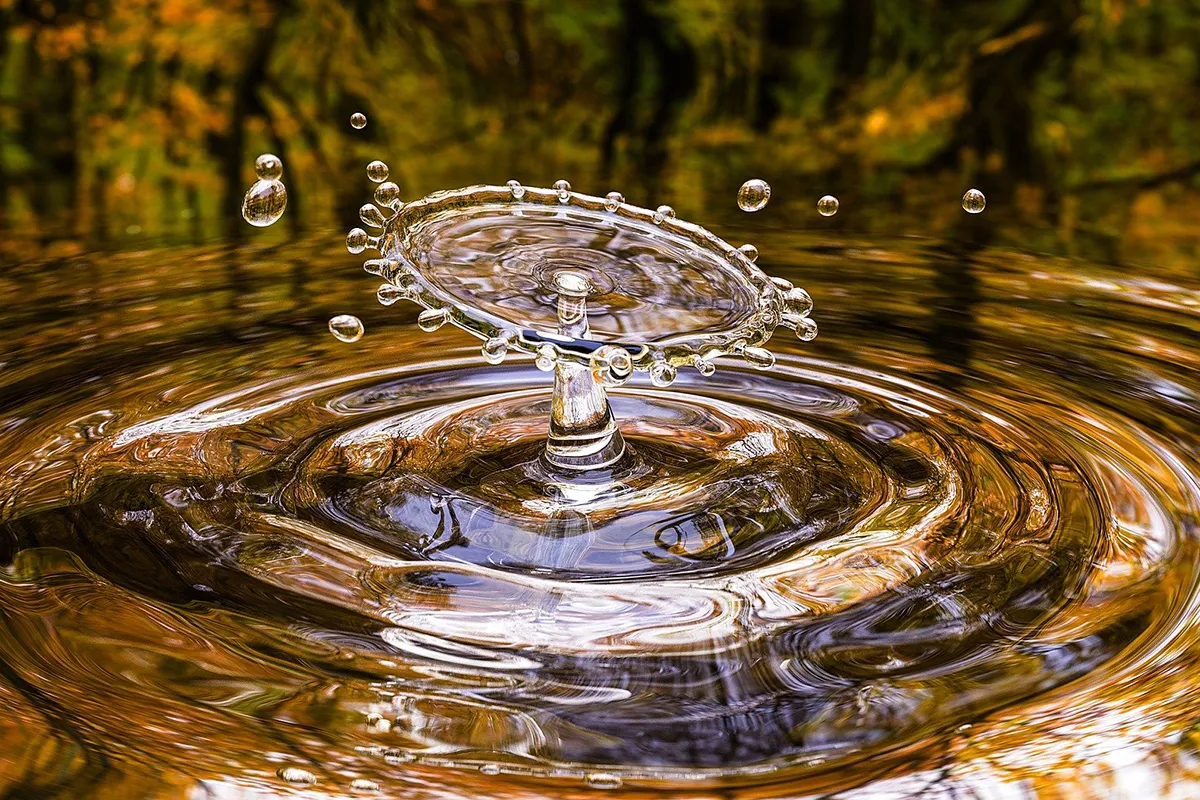 drop 3698073 1920 pixabay herfst