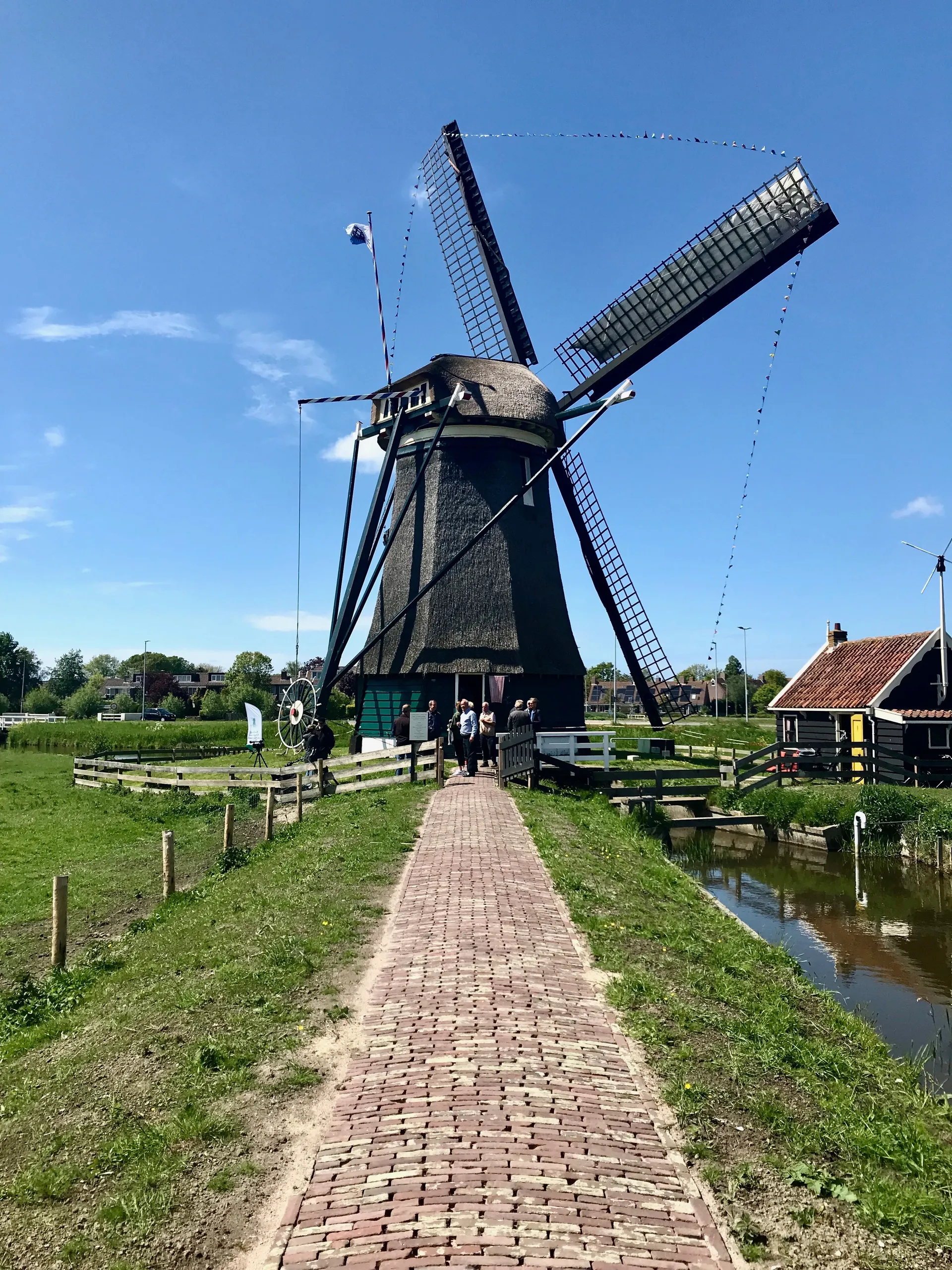img 3774