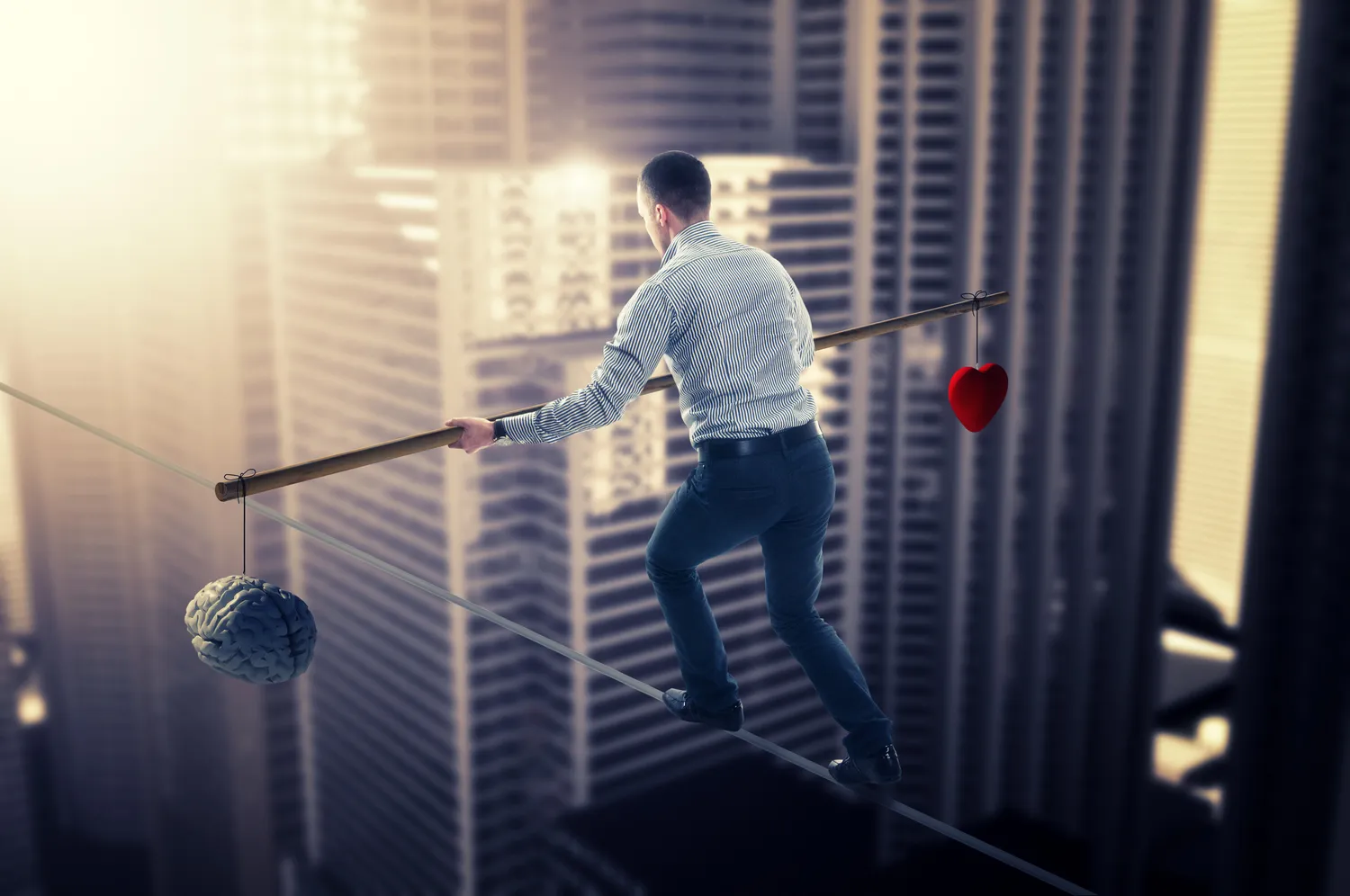 istock 23964665 xlarge