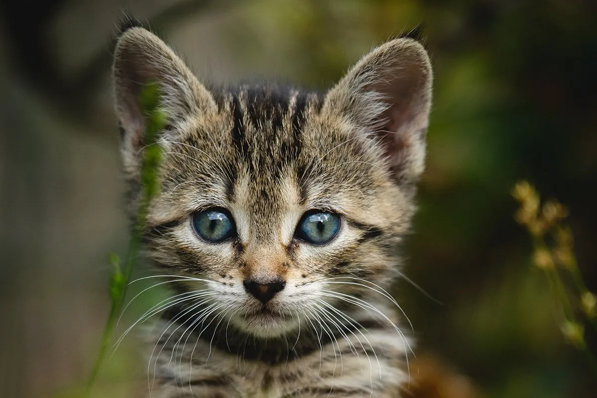 kazuky akayashi kklsrit4 zy unsplash