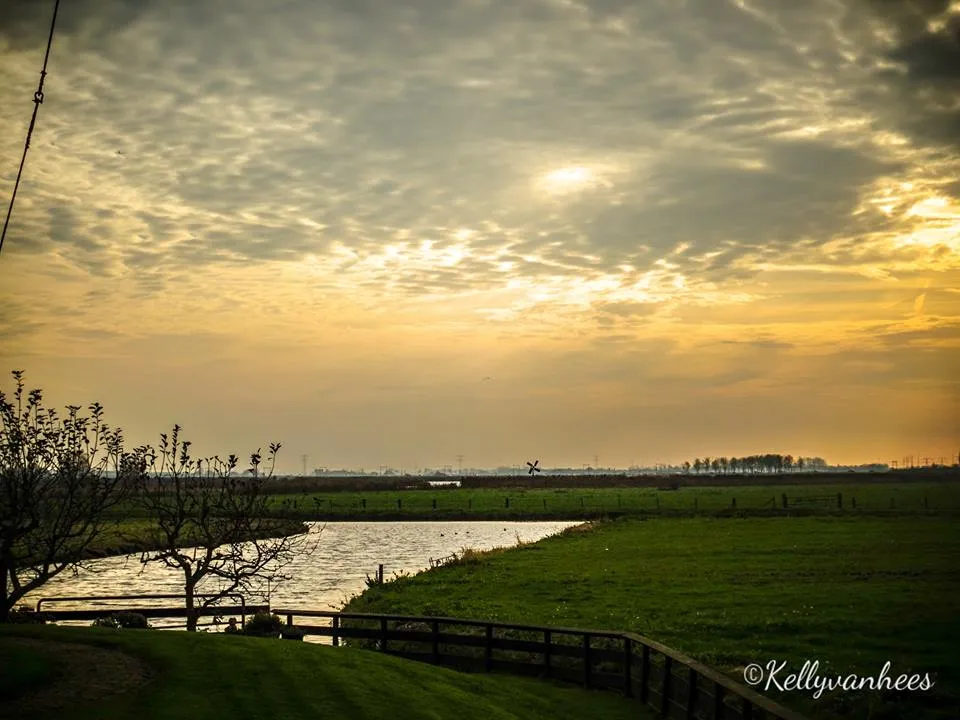 kelly van hees 2