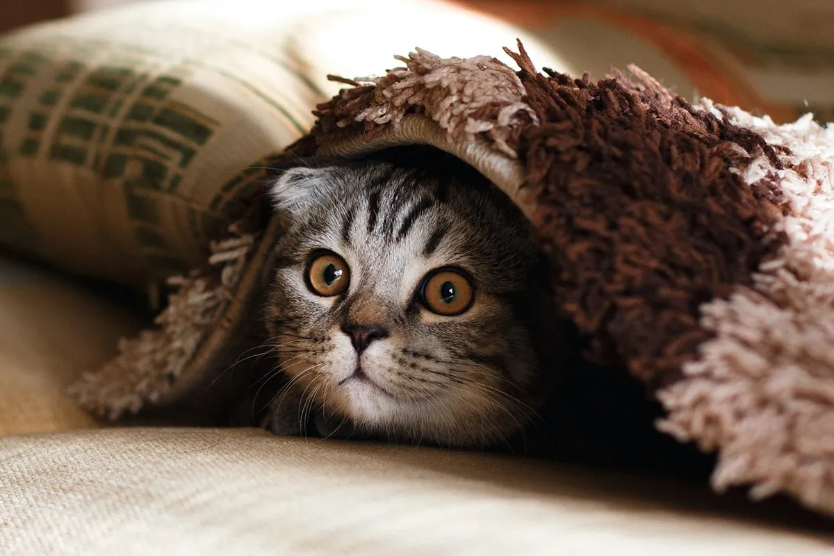 mikhail vasilyev nodtncsldte unsplash