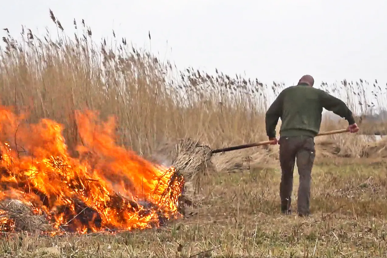 nh nieuws screenshot natuur