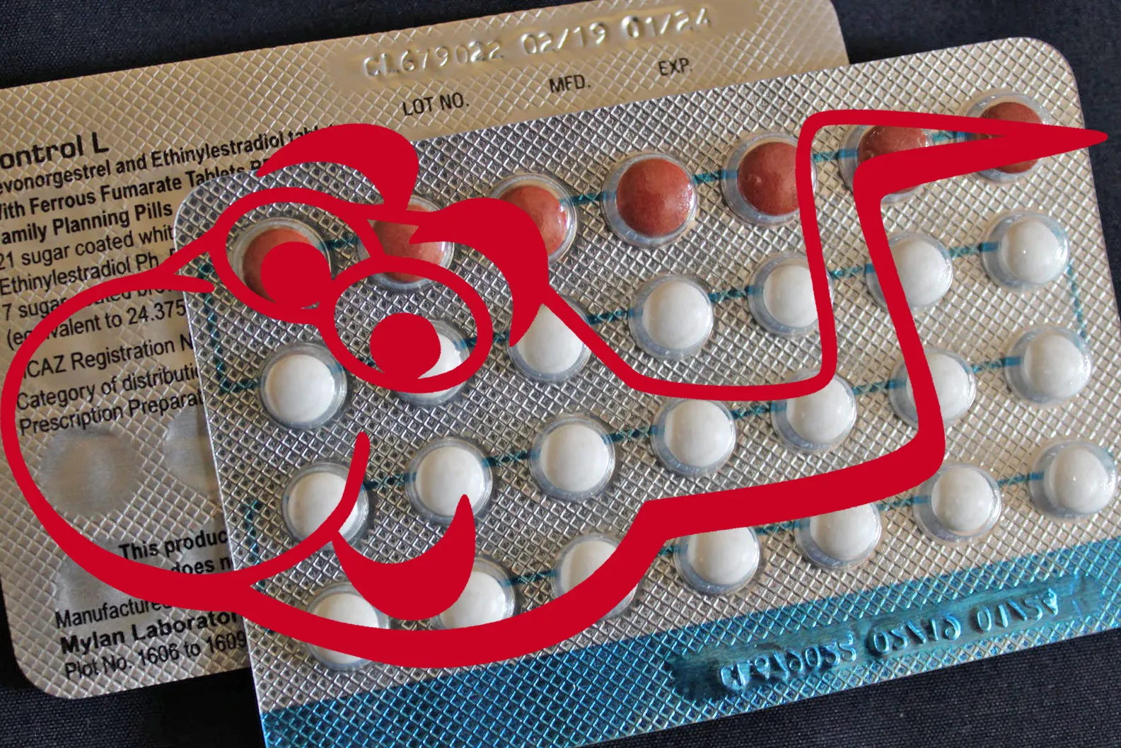 pexels photo 4296865 pexels pixabay