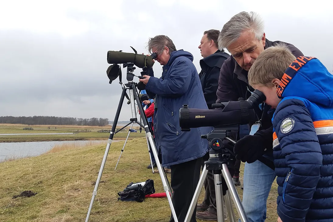 vogelkijkdagen landschap noord holland foto ilse miedema 2