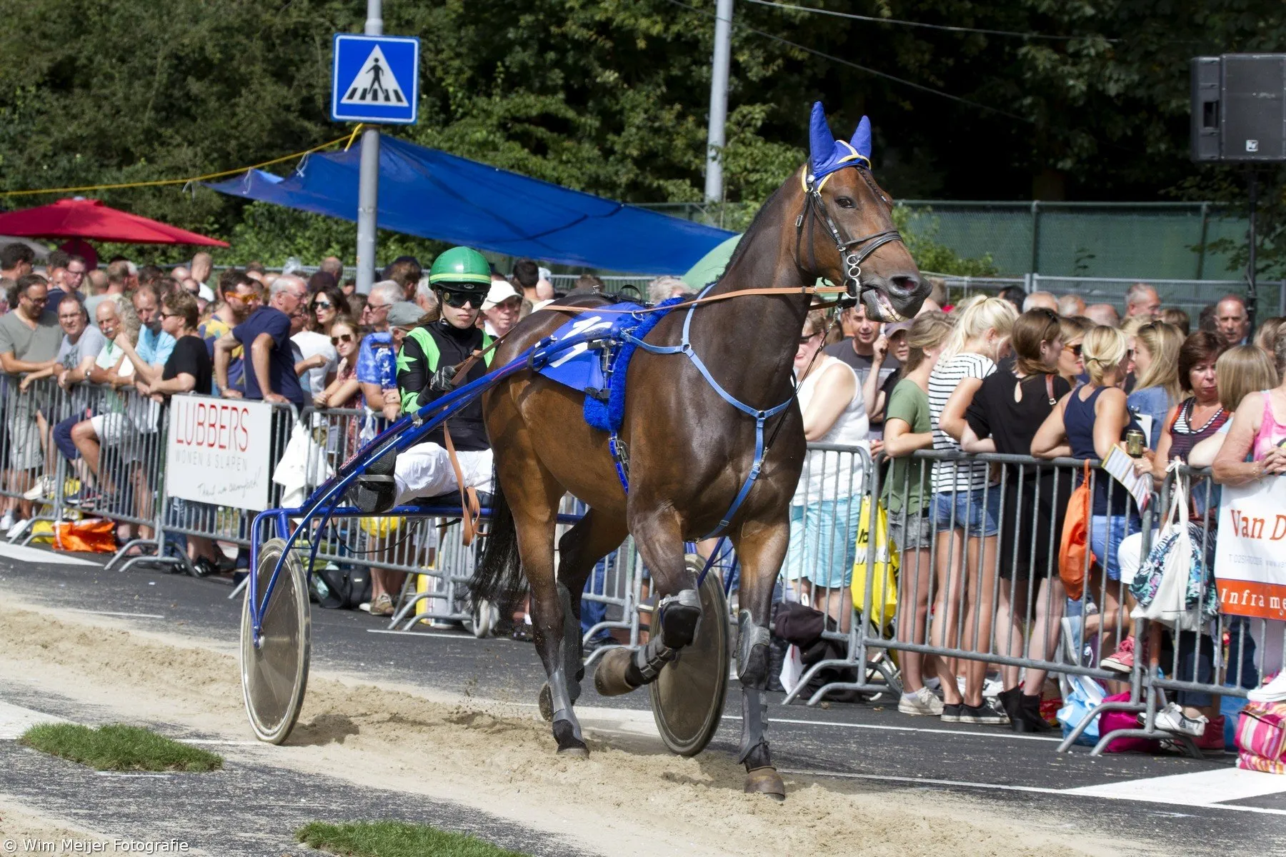 wim meijer fotografie img 1096