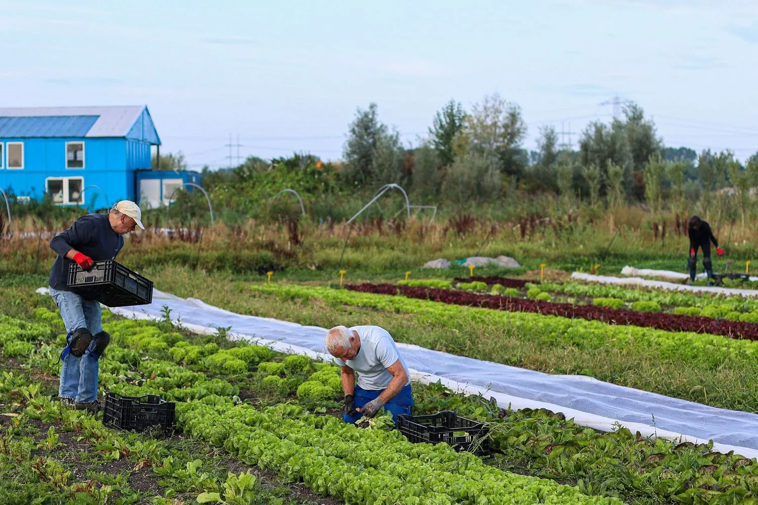 hb rorik foto joyce schouten
