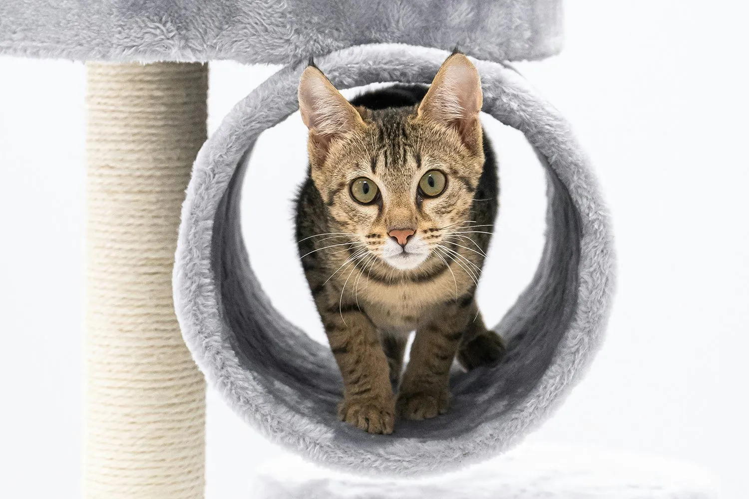 petrebels o2zu0rylq c unsplash kopieren