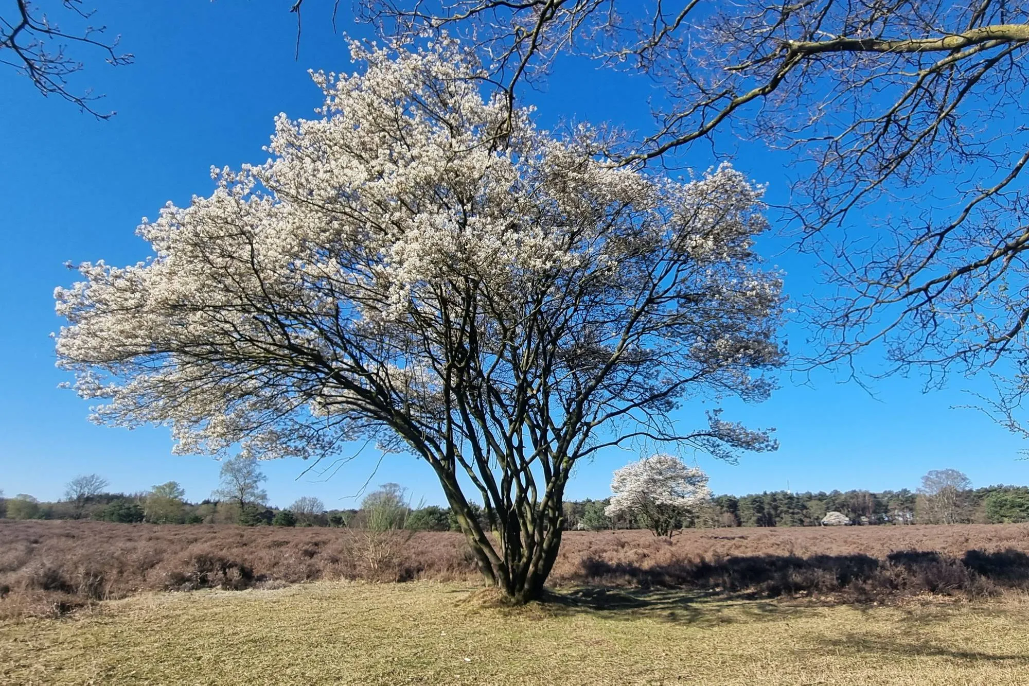 20250406 100623 cover