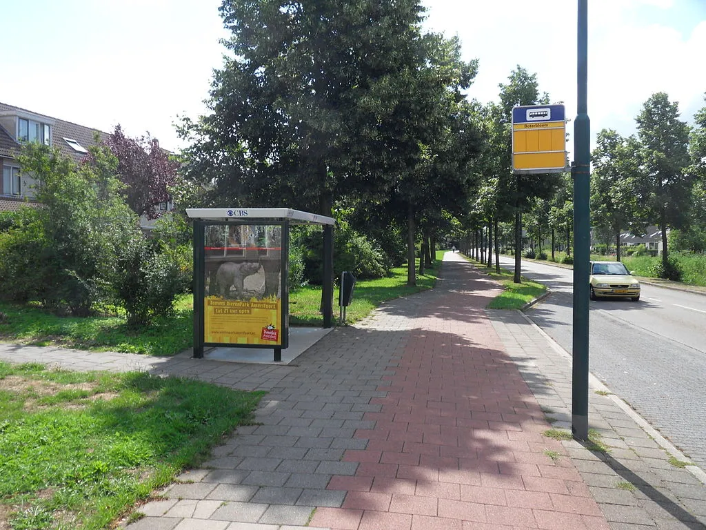 1024px bushaltedriebergenboterbloem