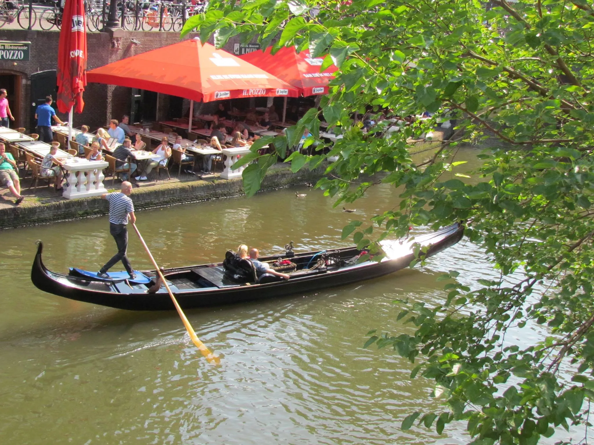 11953373 430904700367544 4059046521369434230 o 1