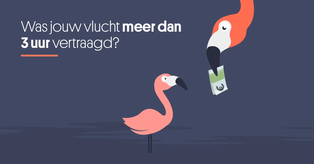 15392904 664256057068962 8901731462815427778 o