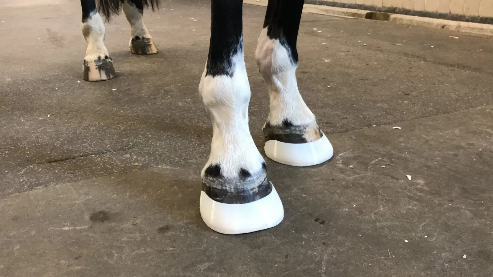 3d geprint hoefbeslag