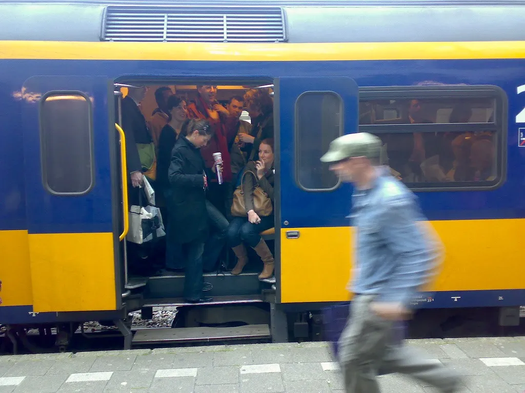 462544635 047f61c361 b 1