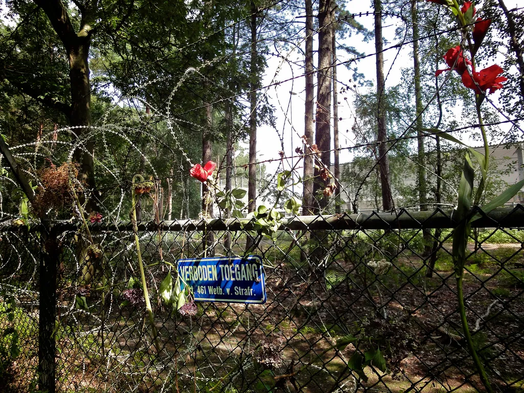 5426061120 3c200bc159 b