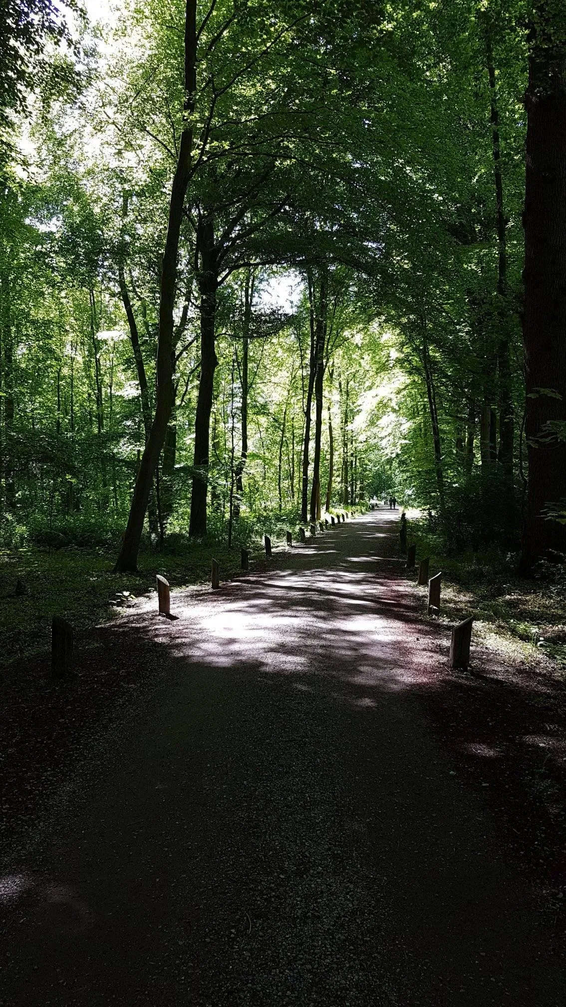 amelisweerd