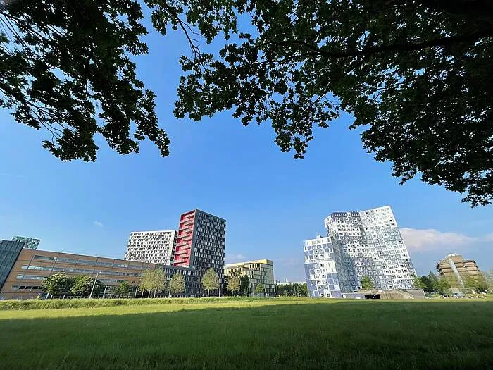 beoogde locatie high five