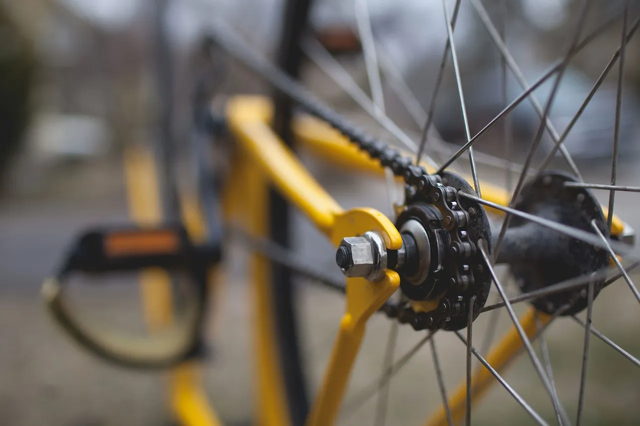 bicycle 691831 1280