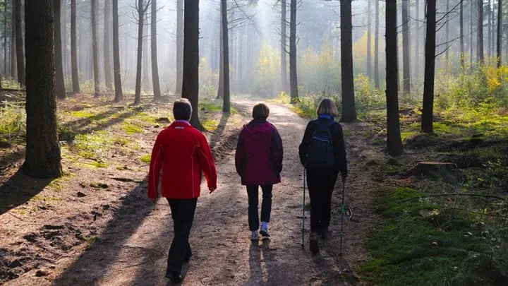 bos wandeling