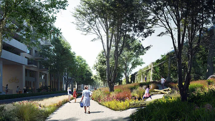 cartesius groene lus