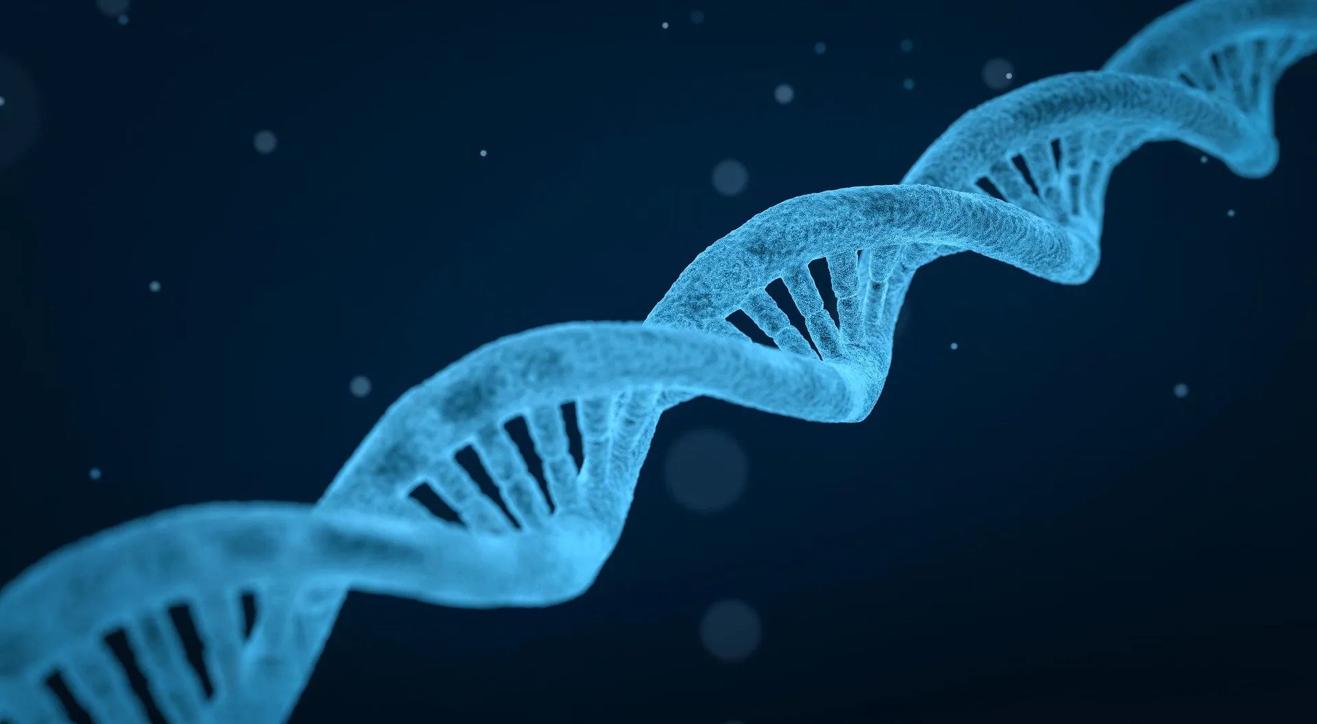 dna 3656587 1920