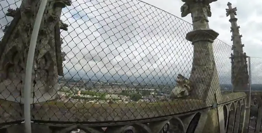 dom