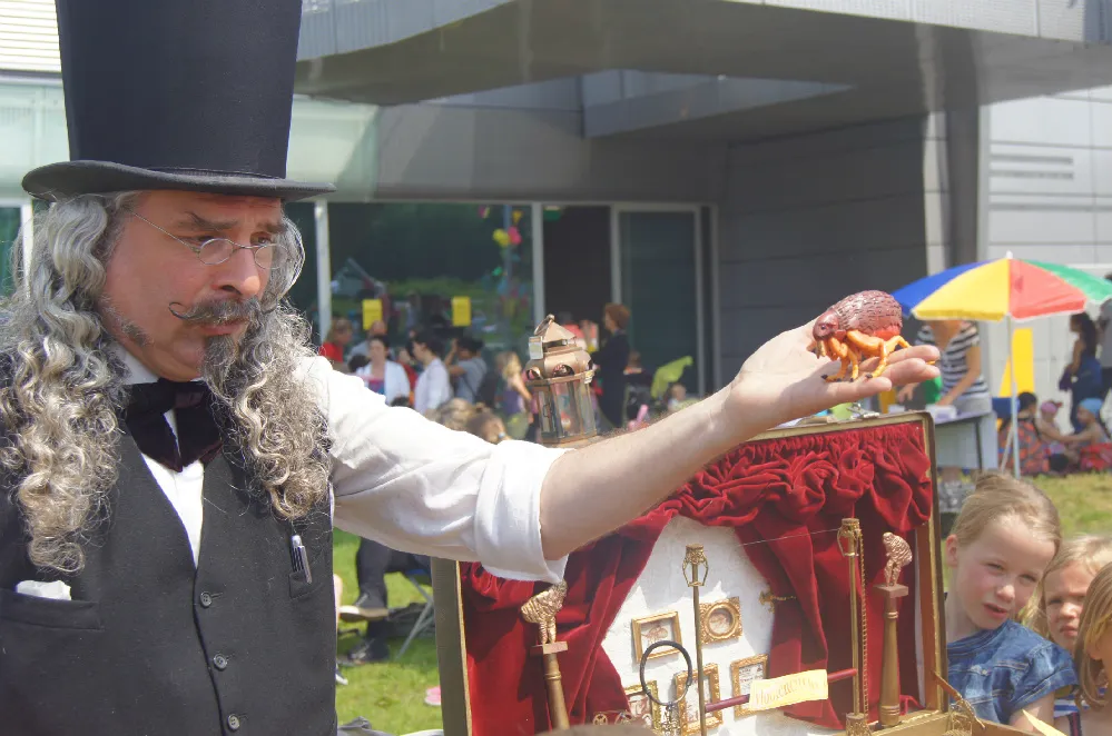 dr qs magistrale vlooiencircus