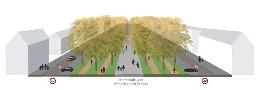 dwarsdoorsnede promenade maliebaan