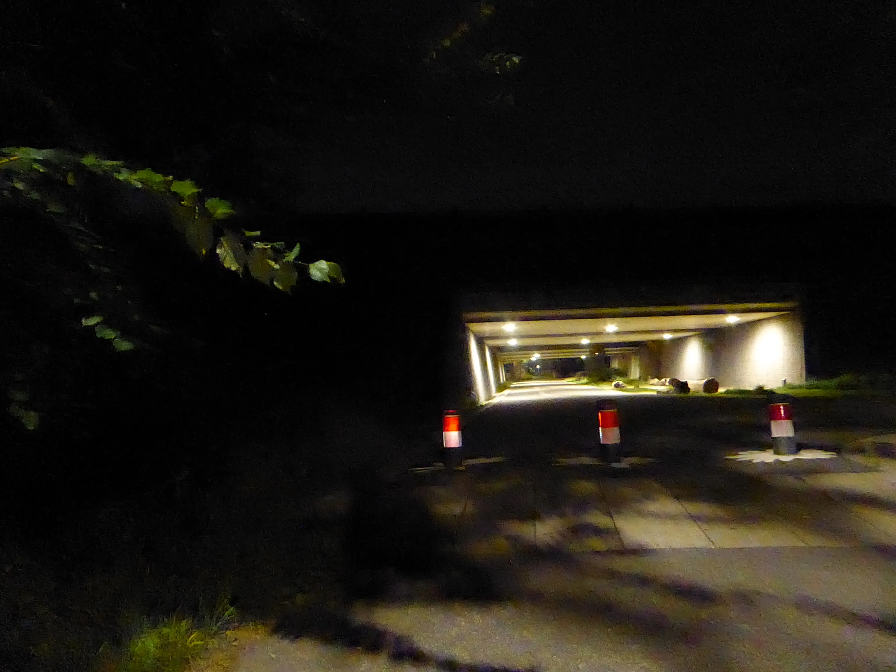 ecologische verbinding