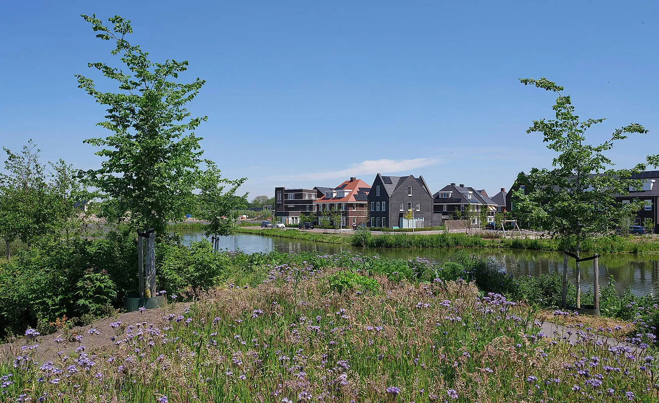 eetbare wijk rijnvliet