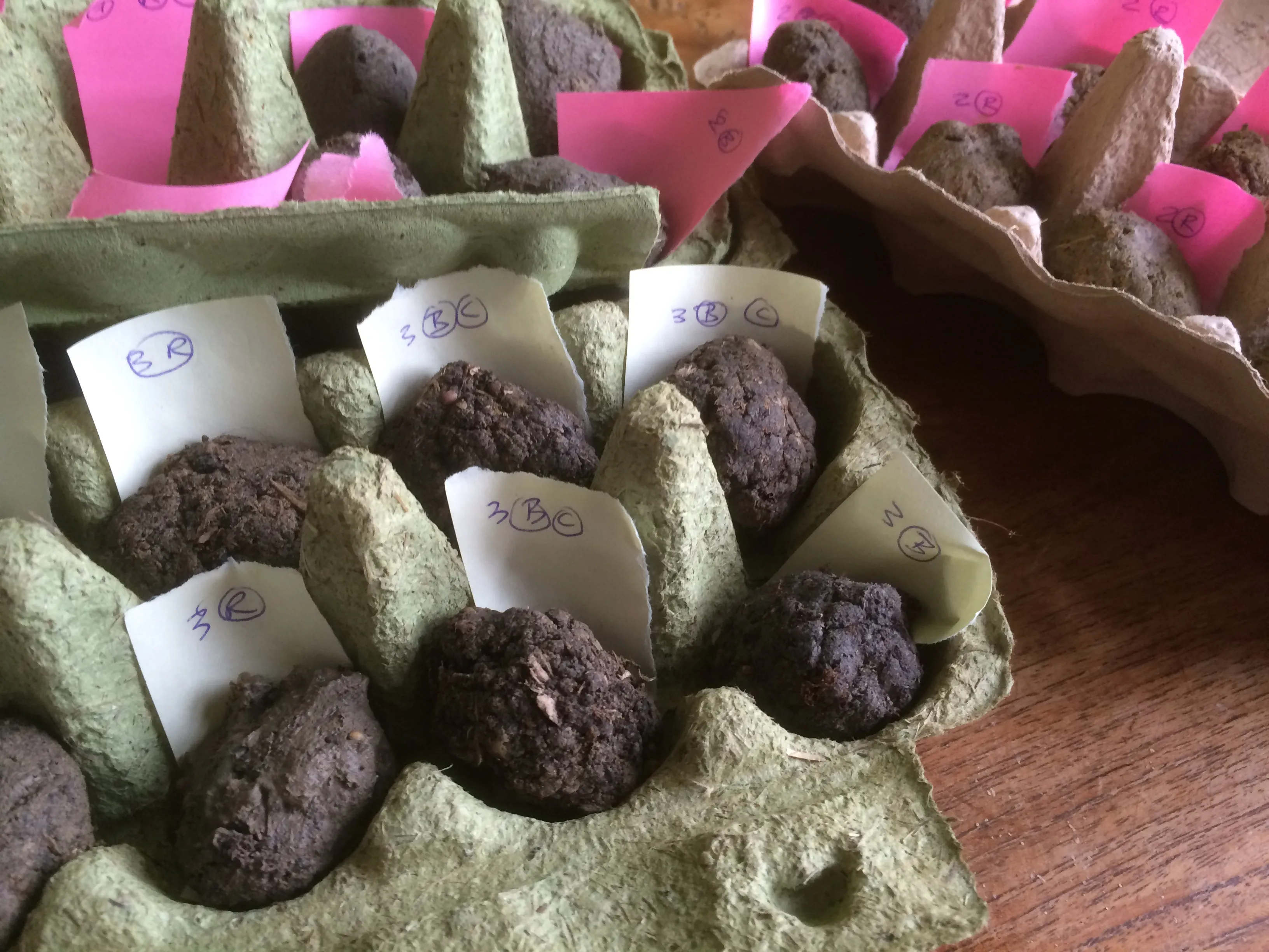 eierdoos bloembommen