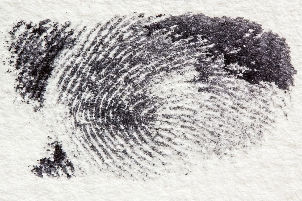 fingerprint 255899 1280 2