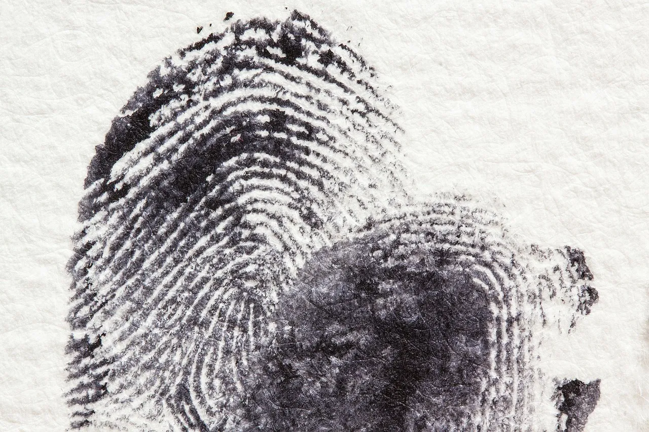 fingerprint 255904 1280