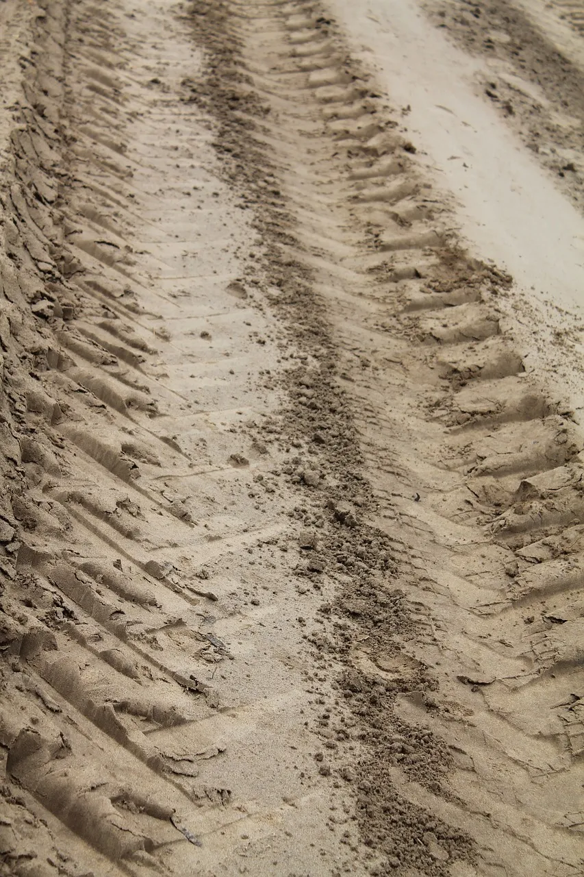 forest road 273135 1280